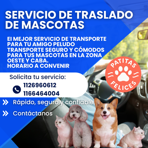 Traslado de mascota 1