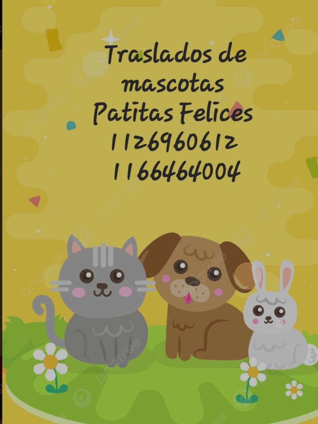 Traslado de mascota 2