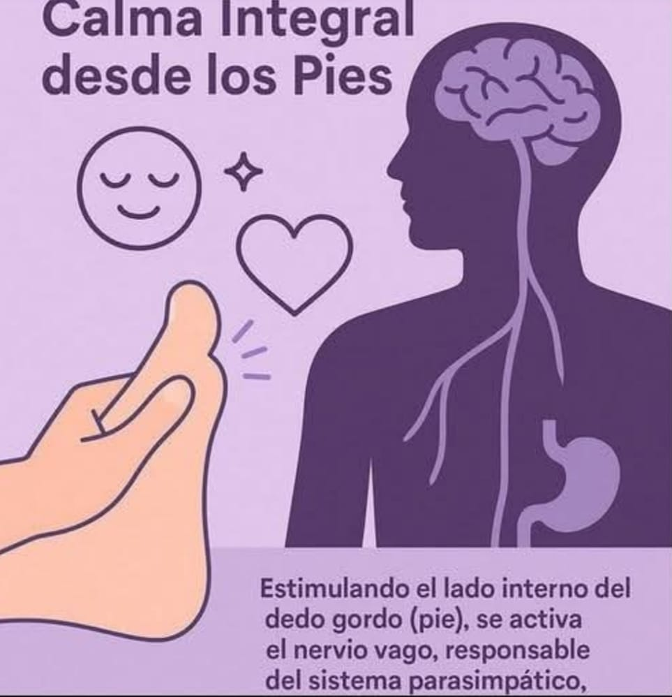 Calma integral desde los pies