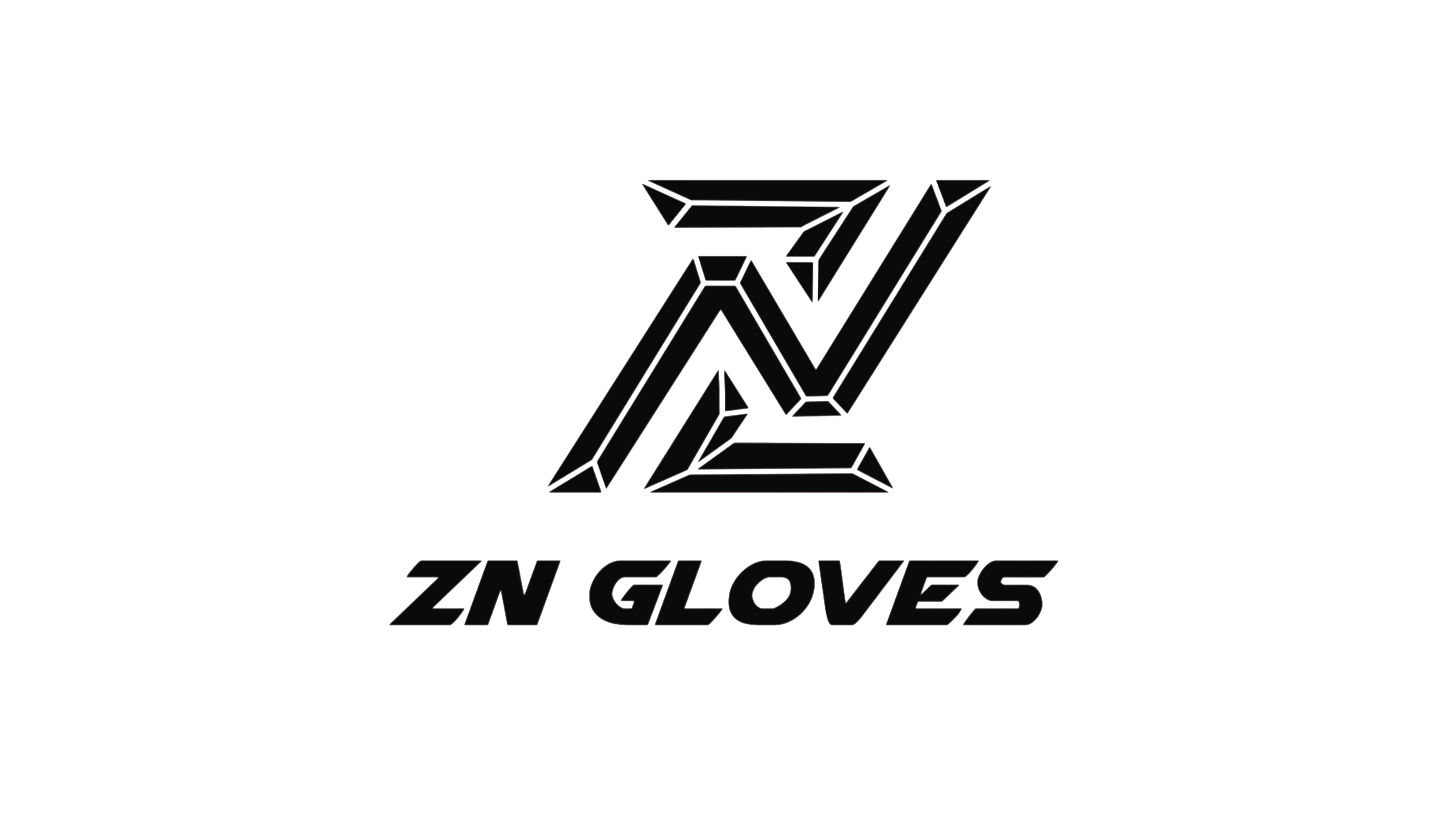 ZN Gloves - Guantes de arquero profesional
