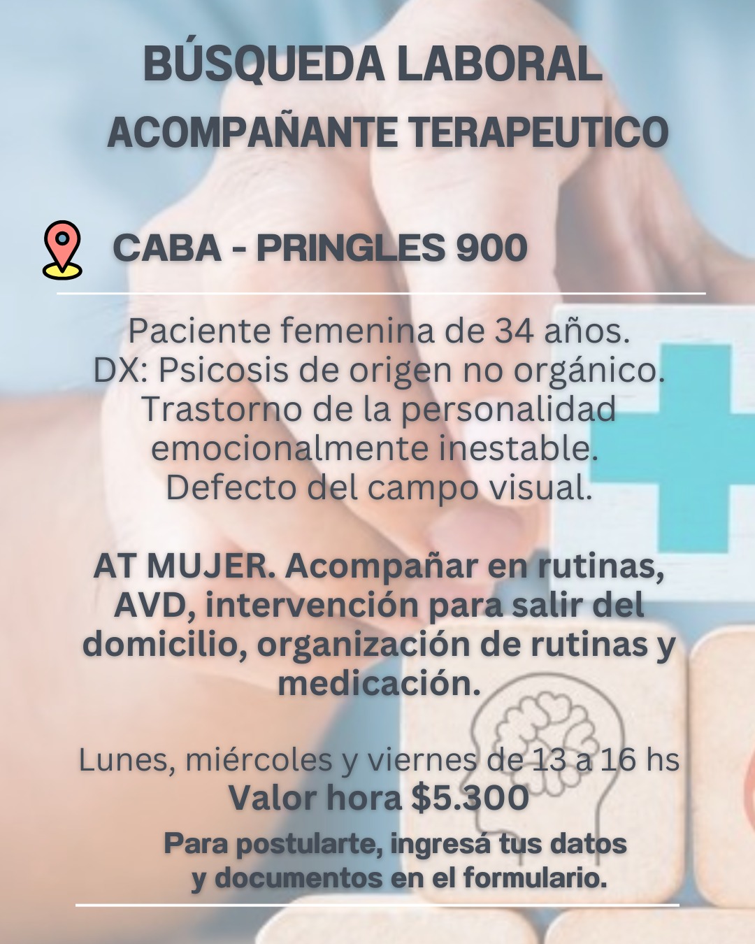 Acompañante terapéutico