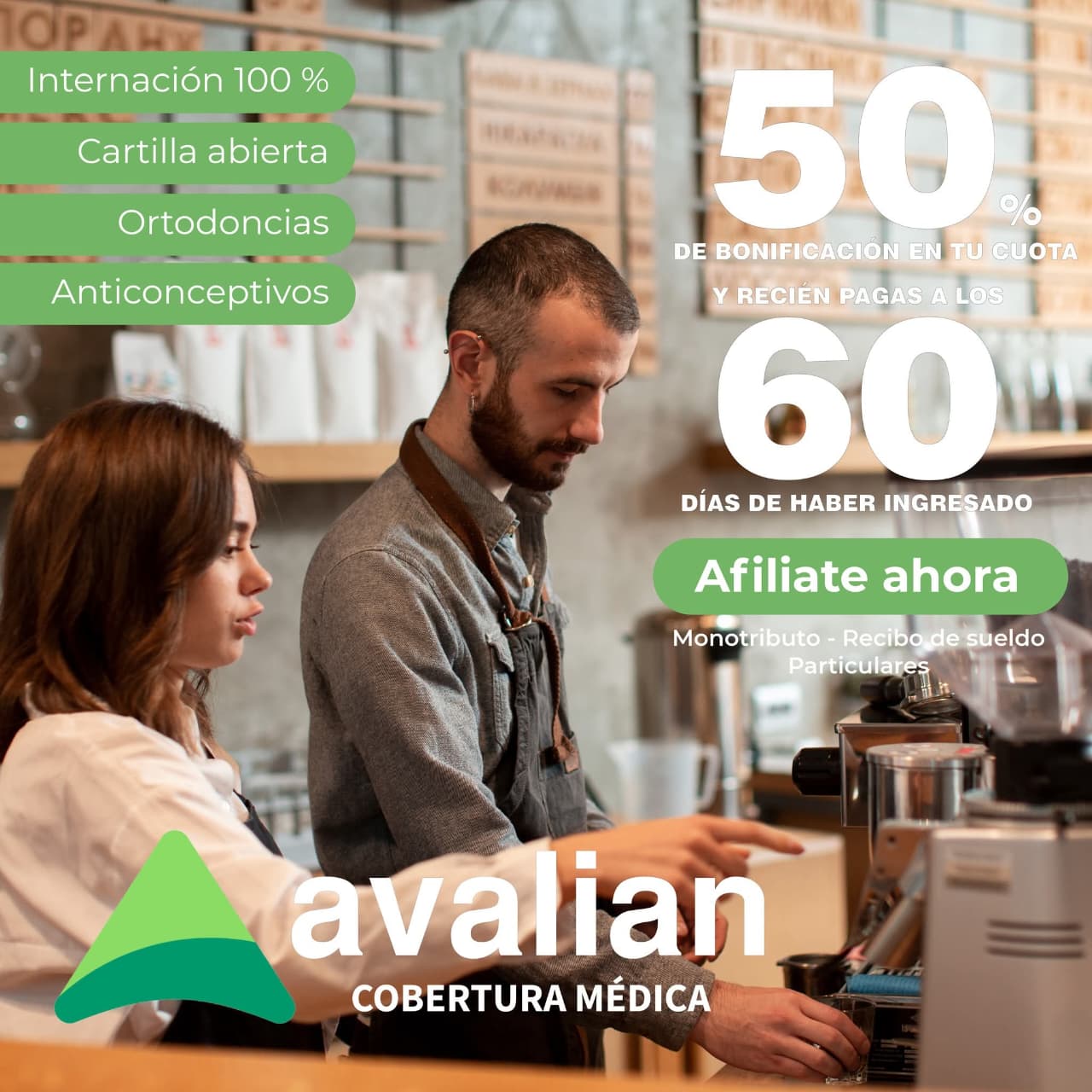 Avalian galería 18