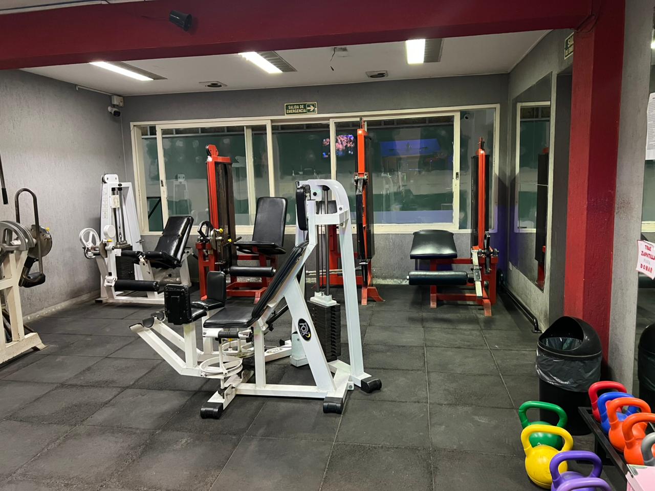 ILF GYM 4
