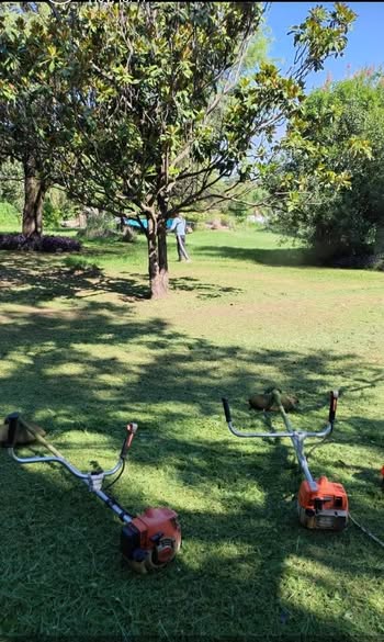 Trabajo de jardinería 1