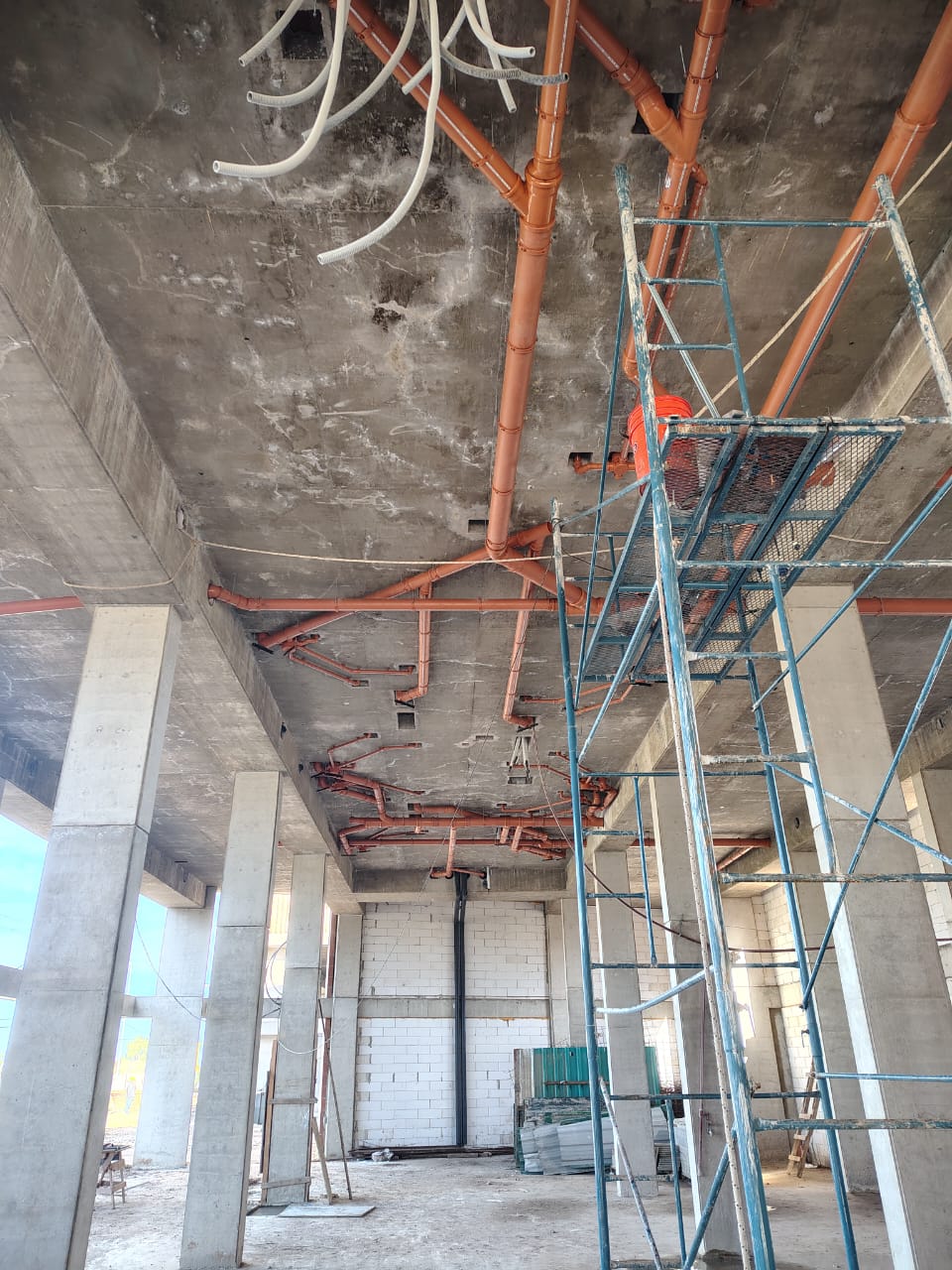 Trabajo sanitario 5
