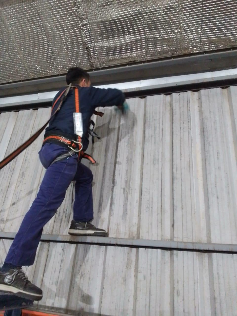 Trabajo 18