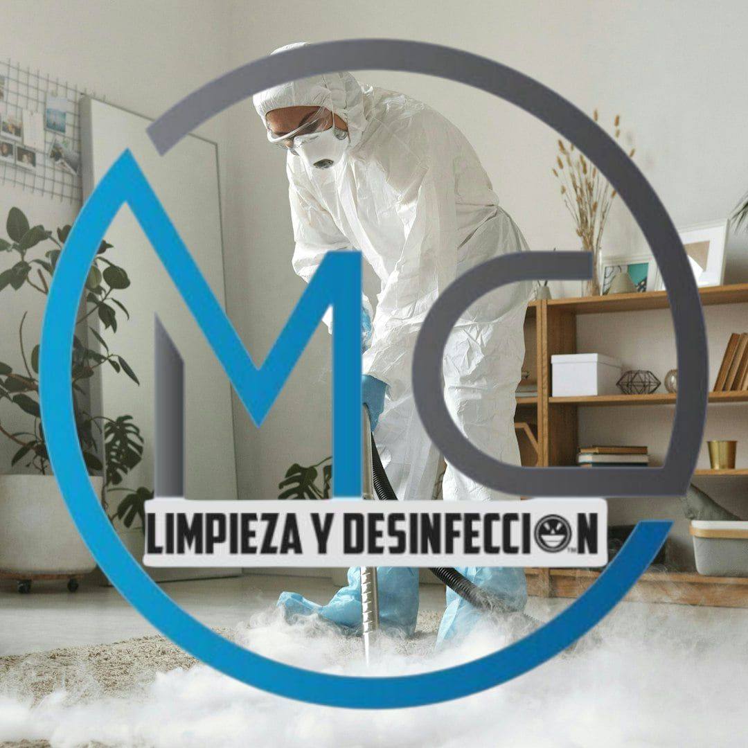 Trabajo de limpieza de tapizados 11