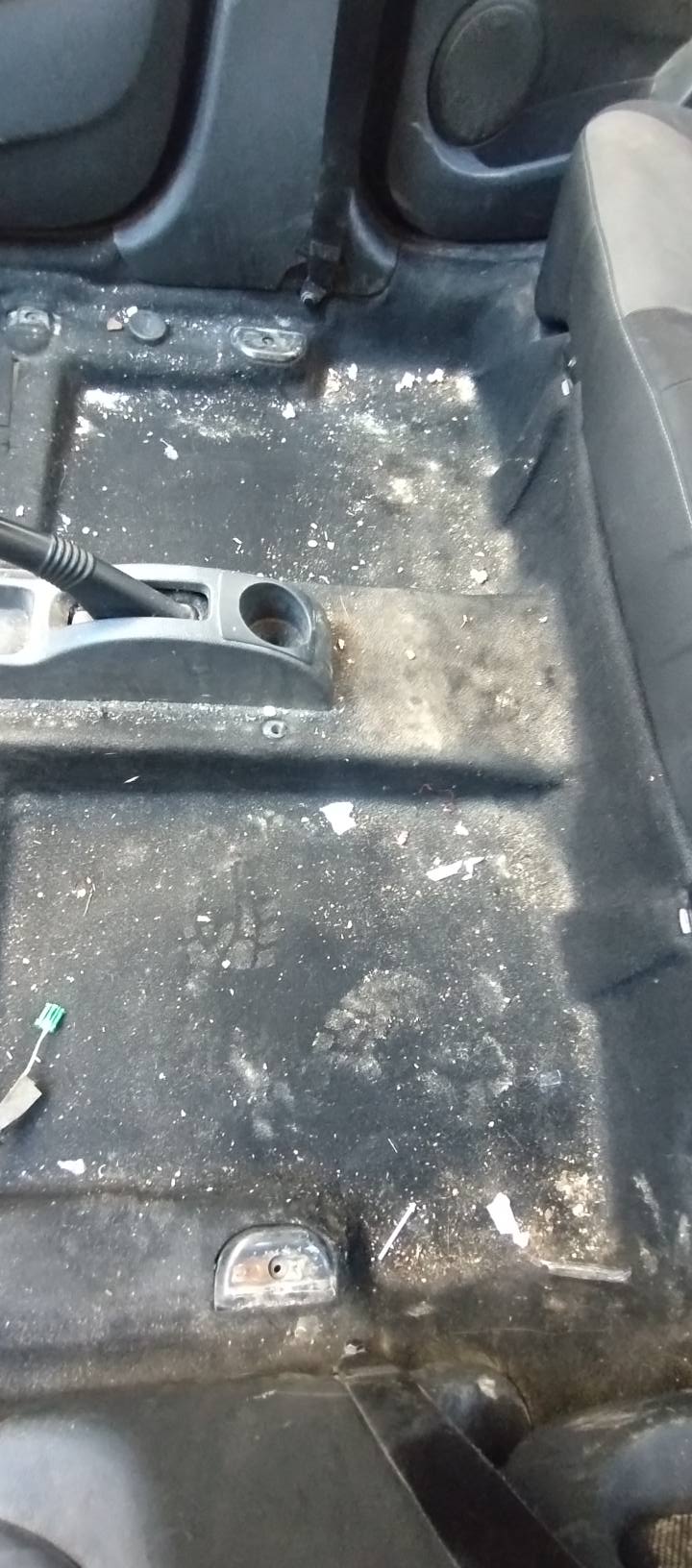 Trabajo de limpieza de tapizados 18