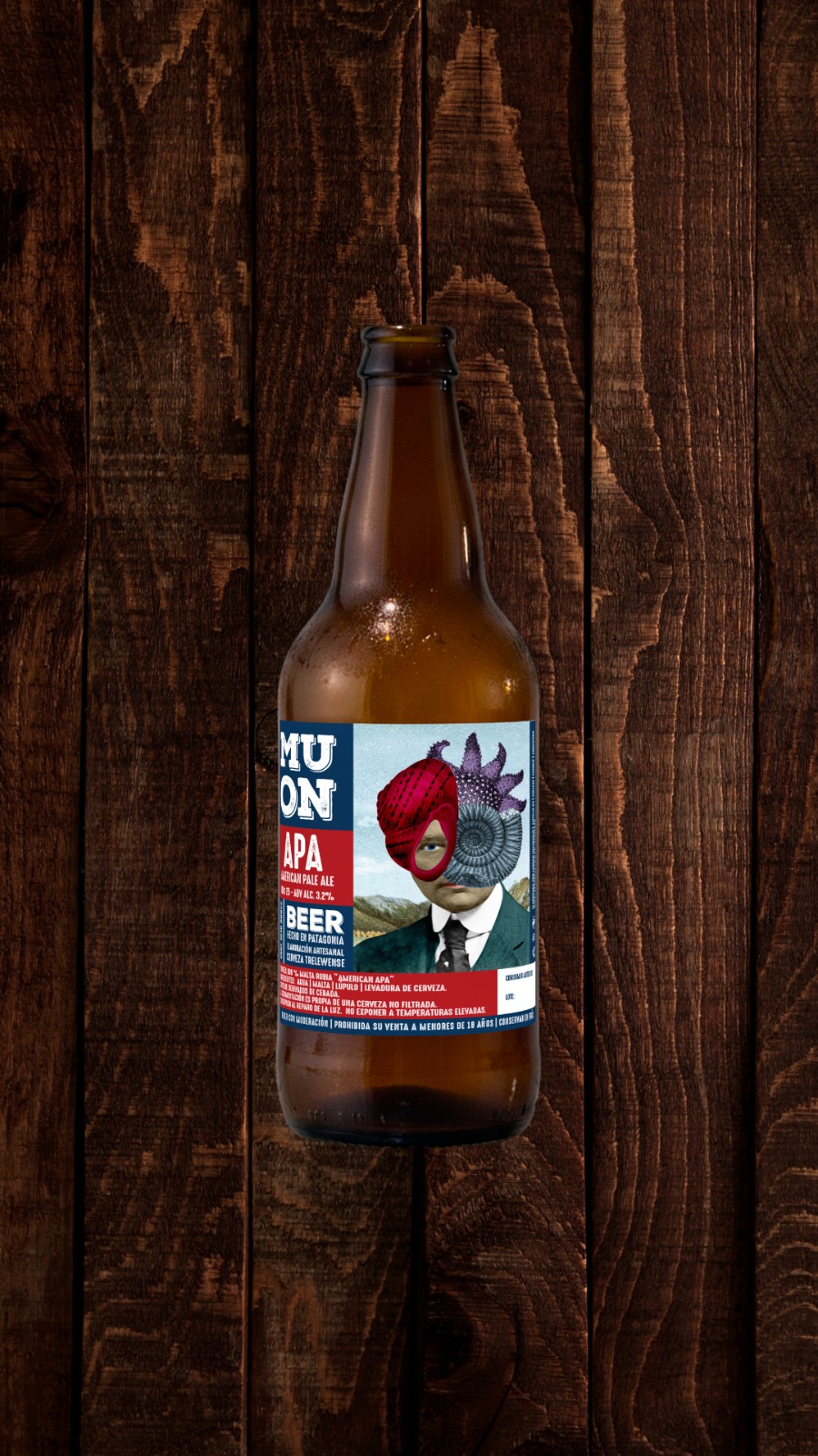 APA Microcervecería Muon 2