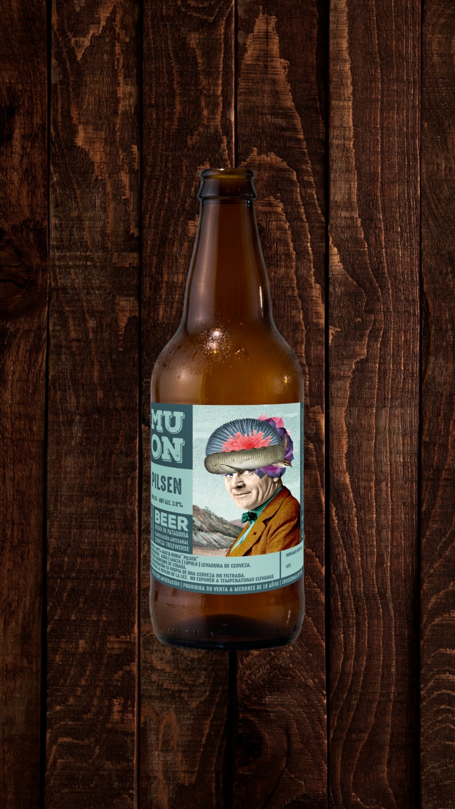 Pilsen Microcervecería Muon 2