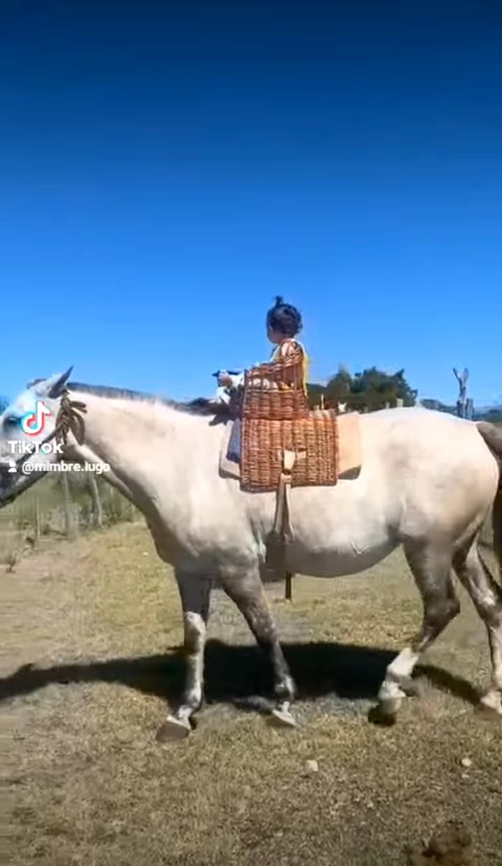 Trabajo artesanal de mimbre 25