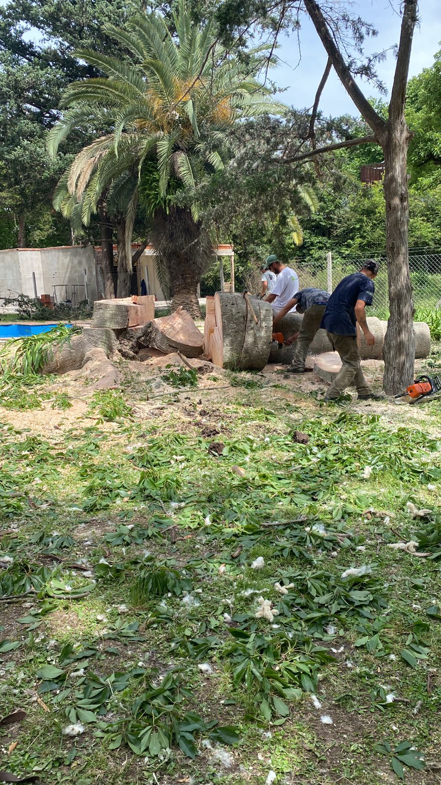 Trabajo 1