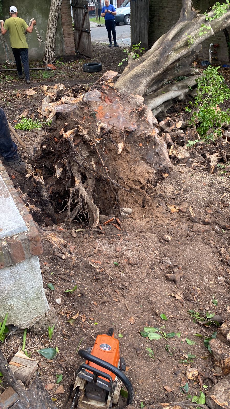 Trabajo 2