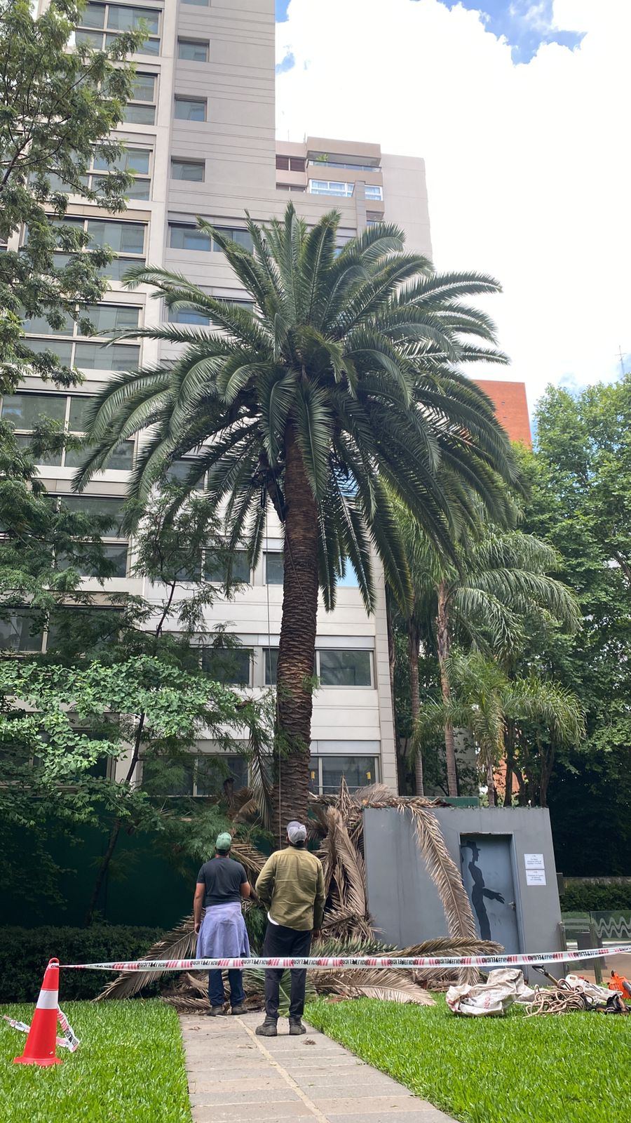 Trabajo 7