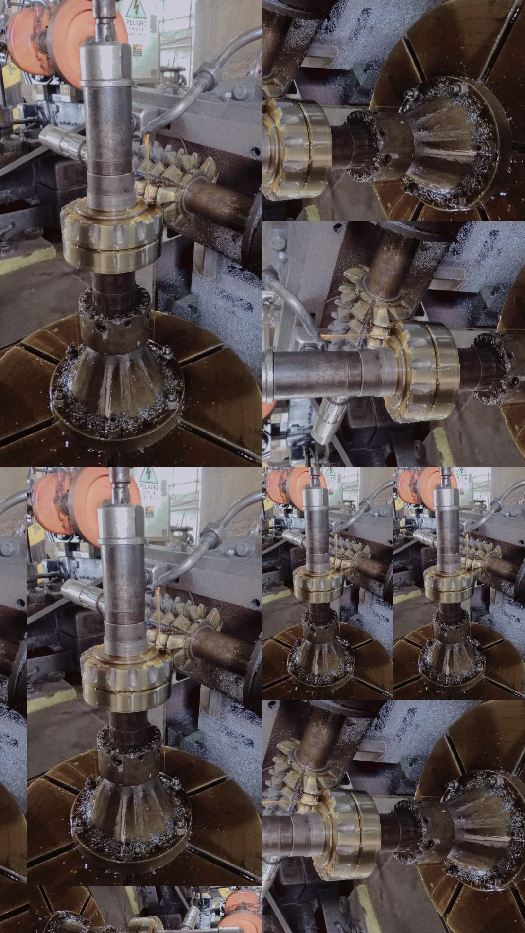 Trabajo 7